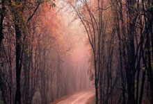 欧联-利物浦防线集体断电 首回合爆冷0-3亚特兰大.