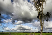 欧博:库尔图瓦:分钟内连丢球很令人遗憾,下场必须踢得更好.