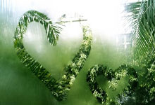 欧博:英超-麦迪逊双响 曼城0-4不敌热刺各赛事五连败.