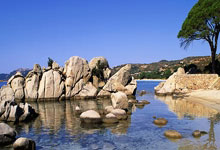 欧博:田径——南京室内世锦赛:男子60米栏颁奖仪式举行.